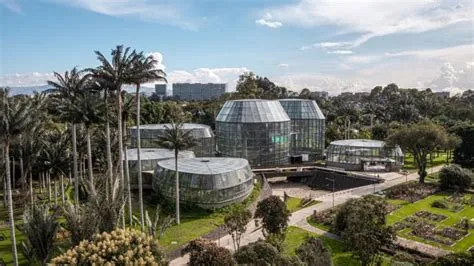 Jardín Botánico José Celestino Mutis: Um Oásis de Biodiversidade no Coração de Bogotá!